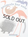 ブルーノ・ムナーリ Bruno Munari / animals for sale