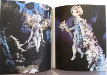 他の写真3: イジー・トルンカ Jiri Trnka:絵 Jaroslav Bocek:著 / JIRI TRNKA イジー・トルンカ作品集