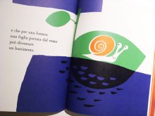 他の写真2: Paul Rand:絵 Ann Rand:著 / Quante cose so