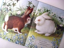 他の写真3: ガース・ウィリアムズ Garth Williams:絵 Margaret Wise Brown:著 / HOME FOR A BUNNY