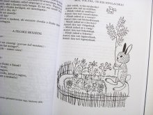他の写真1: レイク・カーロイ Reich Karoly:絵 Kovacs Agnes:編 / icinke-picinke