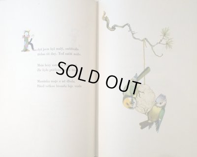 画像3: イジー・トゥルンカ Jiri Trnka:絵 Vladimir Holan:著 / BAJAJA ＜チェコ絵本＞