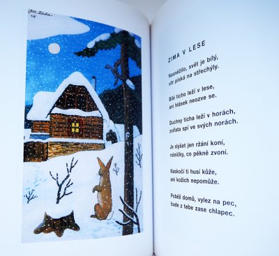 画像5: ヨゼフ・ラダ Josef Lada:絵 Jiri Zacek:著 / Cary mary fuk, at jsem zase kluk! ＜チェコ絵本＞