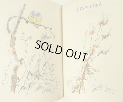 画像6: カレル・スヴォリンスキーKarel Svolinsky:絵 Karel Plicka, Frantisek Volf:著 /  Cesky rok Zima (チェコの四季 - 冬) <チェコ絵本>