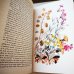 画像11: カレル・スヴォリンスキーKarel Svolinsky:絵 Karel Plicka, Frantisek Volf:著　/  Cesky rok Leto （チェコの四季 - 夏）＜チェコ絵本＞