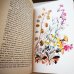 画像11: カレル・スヴォリンスキーKarel Svolinsky:絵 Karel Plicka, Frantisek Volf:著　/  Cesky rok Leto （チェコの四季 - 夏）＜チェコ絵本＞ (11)