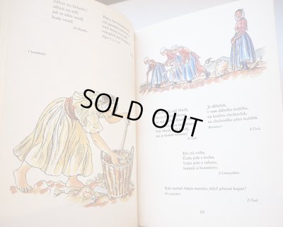 画像4: カレル・スヴォリンスキーKarel Svolinsky:絵 Karel Plicka, Frantisek Volf:著　/  Cesky rok Podzim （チェコの四季 - 秋）＜チェコ絵本＞