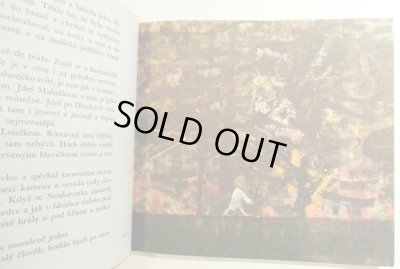 画像3: オタ・ヤネチェク Ota Janecek:絵 Rudolf Tesnohlidek:著 / Cimcirinek a chlapci ＜チェコ絵本＞