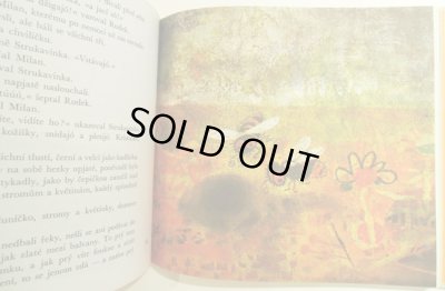 画像4: オタ・ヤネチェク Ota Janecek:絵 Rudolf Tesnohlidek:著 / Cimcirinek a chlapci ＜チェコ絵本＞