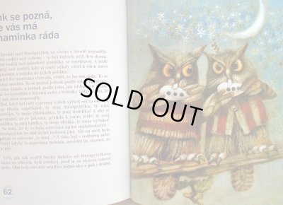 画像4: Karel Franta:絵 Frantisek Nepil:著 / CO vypravela NOC ＜チェコ絵本＞