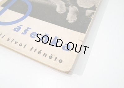 表紙の角の傷みと剥がれ傷があります。