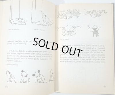 画像4: カレル・チャペック Karel Capek:著・絵・写真 / Dasenka cili zivot stenete 1970