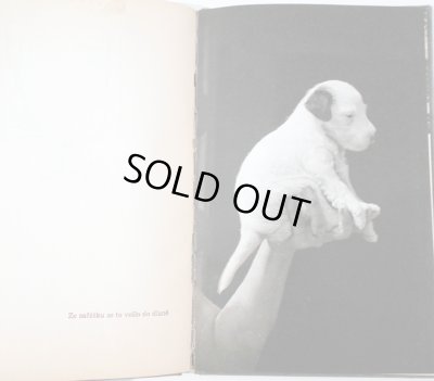 画像5: カレル・チャペック Karel Capek:著・絵・写真 / Dasenka cili zivot stenete 1970