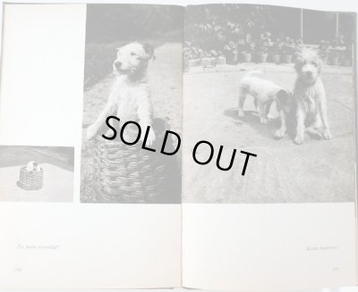 画像6: カレル・チャペック Karel Capek:著・絵・写真 / Dasenka cili zivot stenete 1970