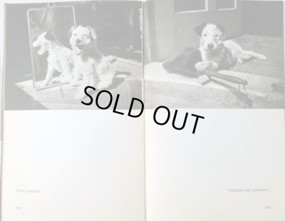 画像7: カレル・チャペック Karel Capek:著・絵・写真 / Dasenka cili zivot stenete 1970