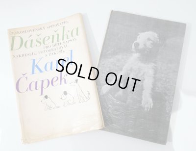 ダストカバーの下はダーシェンカの可愛らしい写真の装丁。