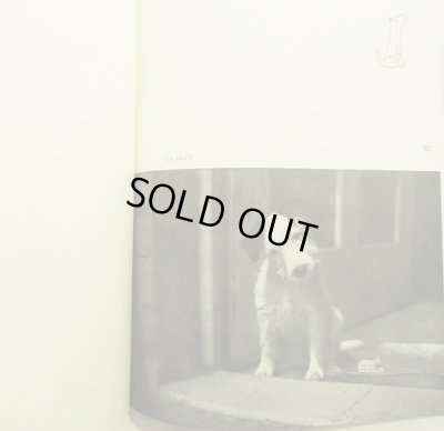 画像7: カレル・チャペック Karel Capek:著・絵・写真 / Dasenka cili zivot stenete 1942