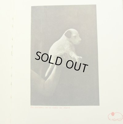 画像3: カレル・チャペック Karel Capek:著・絵・写真 / Dasenka cili zivot stenete 1942