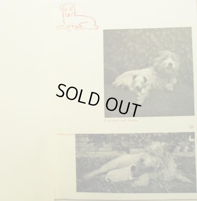 画像4: カレル・チャペック Karel Capek:著・絵・写真 / Dasenka cili zivot stenete 1942