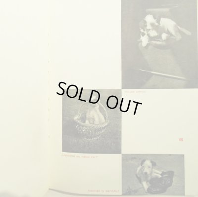 画像5: カレル・チャペック Karel Capek:著・絵・写真 / Dasenka cili zivot stenete 1942