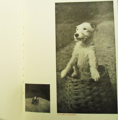 画像6: カレル・チャペック Karel Capek:著・絵・写真 / Dasenka cili zivot stenete 1946