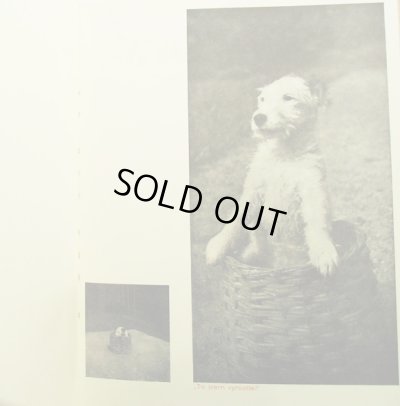 画像6: カレル・チャペック Karel Capek:著・絵・写真 / Dasenka cili zivot stenete 1942