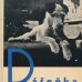 画像1: カレル・チャペック Karel Capek:著・絵・写真 / Dasenka cili zivot stenete 1942 (1)