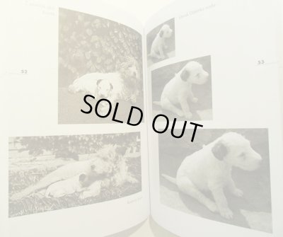 画像5: カレル・チャペック Karel Capek:著・絵・写真 / Dasenka cili zivot stenete 2009（ダーシェンカあるいは小犬の生活）