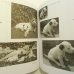 画像5: カレル・チャペック Karel Capek:著・絵・写真 / Dasenka cili zivot stenete 2009（ダーシェンカあるいは小犬の生活） (5)