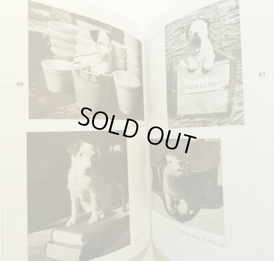 画像7: カレル・チャペック Karel Capek:著・絵・写真 / Dasenka cili zivot stenete 2009（ダーシェンカあるいは小犬の生活）