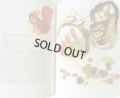 画像6: カレル・スヴォリンスキーKarel Svolinsky:絵 Michal Cernik:著　/ Karel Svolinsky - Dobry den, deti!　＜チェコ絵本＞