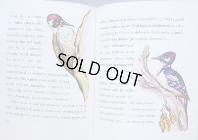 画像4: カレル・スヴォリンスキー Karel Svolinsky:絵 Josef Zeman:著 / Dobrodruzstvi veverky Zrzecky ＜チェコ絵本＞