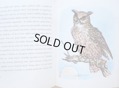 画像5: カレル・スヴォリンスキー Karel Svolinsky:絵 Josef Zeman:著 / Dobrodruzstvi veverky Zrzecky ＜チェコ絵本＞