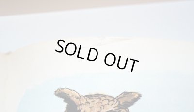 上部に破れ補修跡があります。