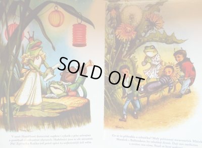 画像3: クバシュタ Vojtech Kubasta / Dobrodruzstvi broucka Slunicka ＜チェコ絵本＞