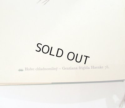 元々ナンバリングの補正跡があります。違うナンバーは緑の線で消して、右側に正しい数字が入っています。