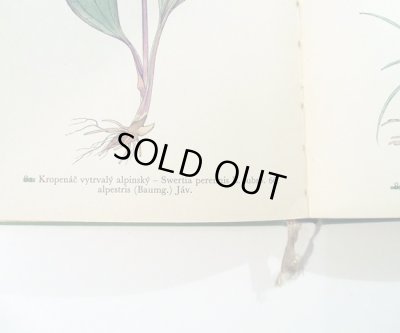 元々ナンバリングの補正跡があります。違うナンバーは緑の線で消して、右側に正しい数字が入っています。