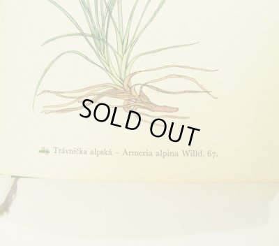 元々ナンバリングの補正跡があります。違うナンバーは緑の線で消して、右側に正しい数字が入っています。