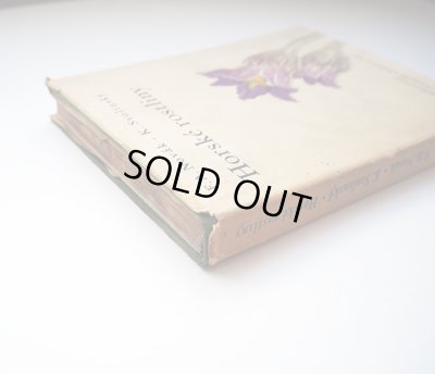 ダストカバーの破れがあります。