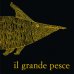 画像1: 葵・フーバー・河野 Aoi Huber-Kono / il grande pesce (1)