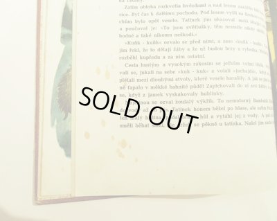 画像11: Vojtech Kubasta:絵 Cenek Sovak:著 / JEZEK PICHACEK MEZI ZVIRATKY