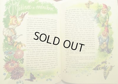 画像6: Vojtech Kubasta:絵 Cenek Sovak:著 / JEZEK PICHACEK MEZI ZVIRATKY