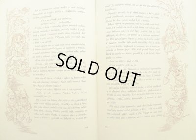 画像7: Vojtech Kubasta:絵 Cenek Sovak:著 / JEZEK PICHACEK MEZI ZVIRATKY