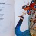 画像4: Karel Franta:絵 Jiri Havel:著 / Kdo bruci, je medved ＜チェコ絵本＞ (4)