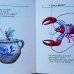 画像5: Karel Franta:絵 Jiri Havel:著 / Kdo bruci, je medved ＜チェコ絵本＞ (5)
