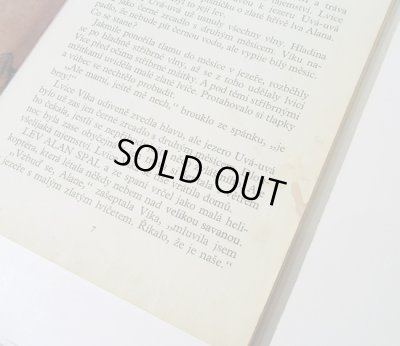 中身のページに汚れのシミがあります。