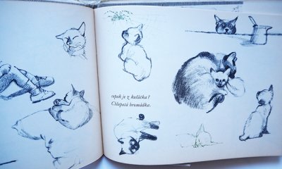 画像5: Adolf Zabransky:絵 Frantisek Hrubin:著 / Kyticka z nacrtniku ＜チェコ絵本＞