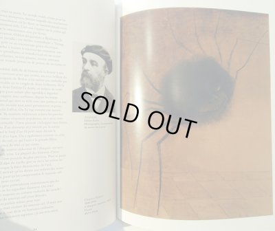 画像4: ユリア・ヴォリ Julia Vuori:絵 Marjatta Levanto:著 / L'ART ENTRE NUIT ET JOUR - Musee d'Orsay