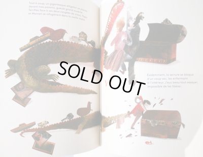 画像4: ベアトリーチェ・アレマーニャ Beatrice Alemagna / LE FABULEUX DESASTRE DHAROLD SNIPPERPOTT