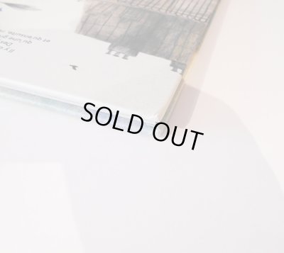 海外輸送により角の傷みが僅かにあります。